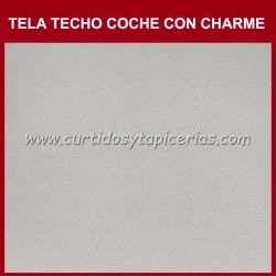 Tela Techo Coche con Charme - Color Gris Claro (Audi A4)